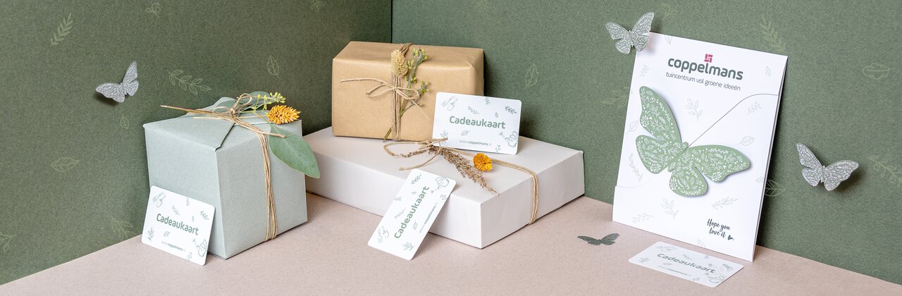 Cadeaukaarten