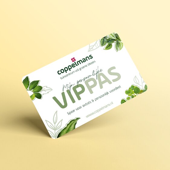 VIPPAS VIPPAS