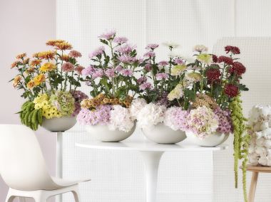 Chrysant staat in oktober op de Bloemenagenda