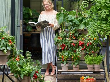 Tuinplant van de maand mei: Groenteplanten