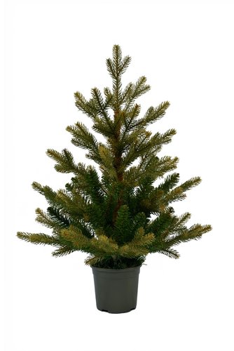 Startree Angel pine kunstkerstboom - H 60 x D 30 cm