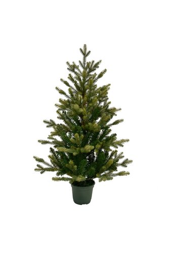 Startree Angel pine kunstkerstboom - H 90 x D 55 cm