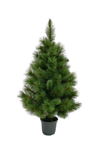 Startree Woodland spruce kunstkerstboom - H 90 x D 55 cm