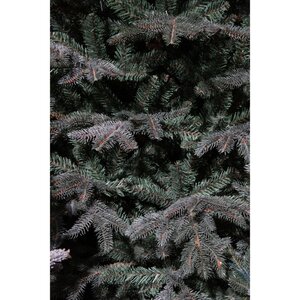 Black Box Trees Frasier Fir kunstkerstboom blauw - H 185 x D 124 cm - afbeelding 2