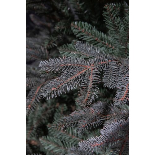 Black Box Trees Frasier Fir kunstkerstboom blauw - H 185 x D 124 cm - afbeelding 3