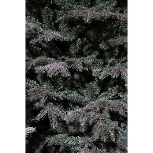 Black Box Trees Frasier Fir kunstkerstboom blauw - H 215 x D 145 cm - afbeelding 2