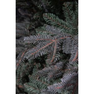 Black Box Trees Frasier Fir kunstkerstboom blauw - H 215 x D 145 cm - afbeelding 3