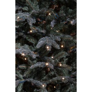 Black Box Trees Frasier Fir kunstkerstboom LED blauw - H 215 x D 145 cm - afbeelding 2