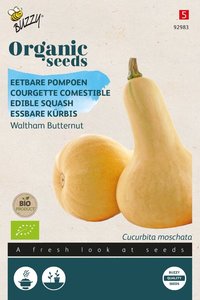 Buzzy® Organic Eetbare Pompoen Waltham Butternut  (BIO) - afbeelding 1