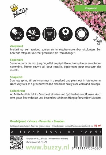 Buzzy® Saponaria, Zeepkruid - afbeelding 2