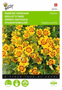 Buzzy® Tagetes, randjes Afrikaan Starfire - afbeelding 1