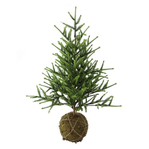 Deco kerstboom moskluit - H 60 cm