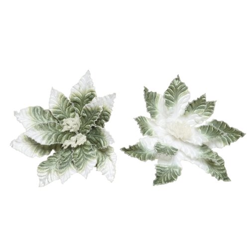 Decoris Poinsettia op clip polyester fluweel 2ass - Groen