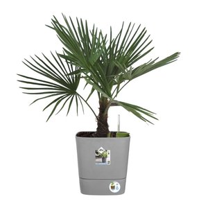 Elho Bloempot Greensense Aqua Care vierkant 38cm grijs - afbeelding 3