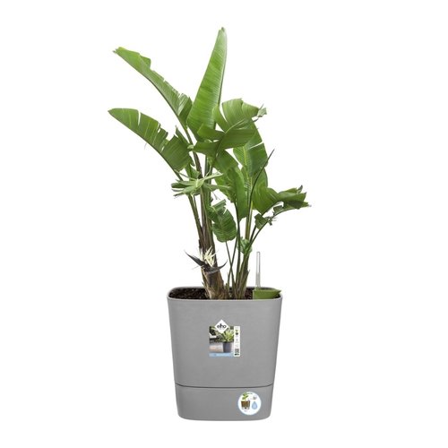 Elho Bloempot Greensense Aqua Care vierkant 38cm grijs - afbeelding 4