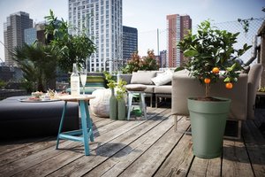 Elho Schotel Loft Urban rond 24cm groen - afbeelding 2