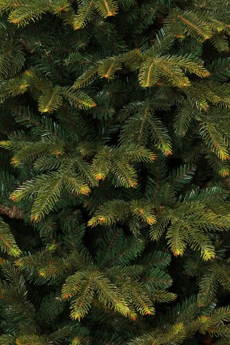 Frasier x-mas tree green - h230xd147cm - afbeelding 2