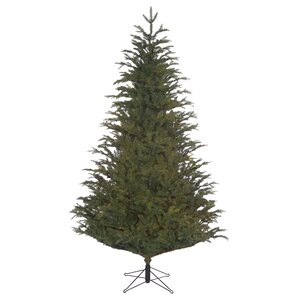 Frasier tree - H 260 x D161 cm