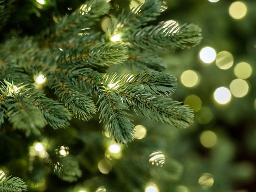 Everlands Geneva Fir LED kunstkerstboom groen - H 210 x D 126 cm - afbeelding 2