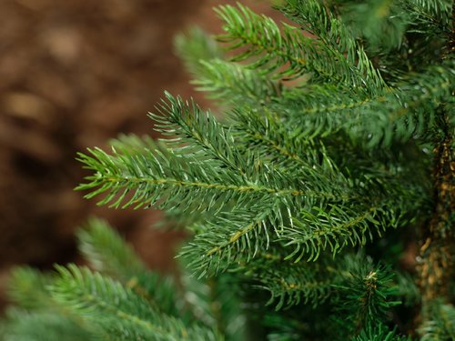 Everlands Grandis Fir kunstkerstboom groen - H 180 x D 132 cm - afbeelding 2