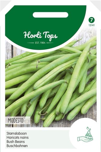 Horti Tops Stamslabonen Montano, 100g (wordt Modesto) - afbeelding 1