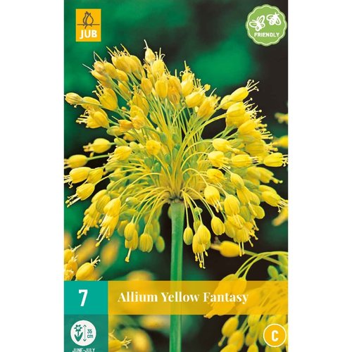 JUB Holland Allium Yellow Fantasy