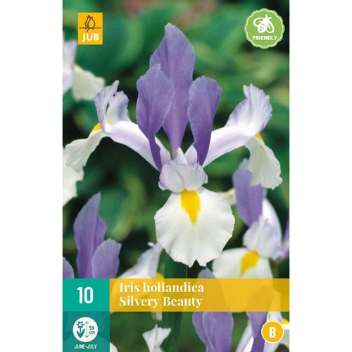 JUB Holland Iris hollandica Silvery Beauty