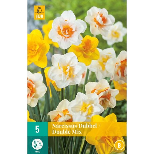 JUB Holland Narcissus Dubbel Mix