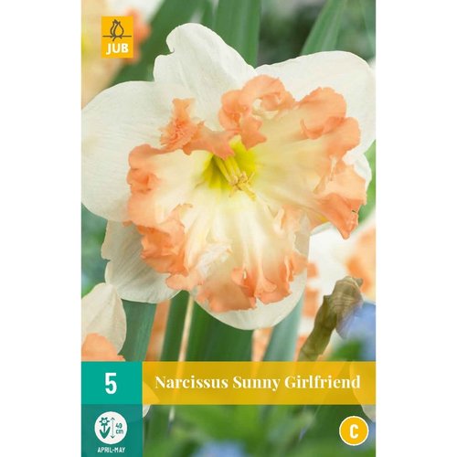 JUB Holland Narcissus Sunny Girlfriend