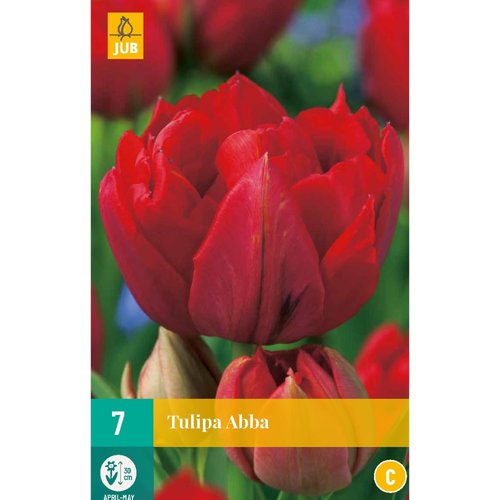 JUB Holland Tulipa Abba