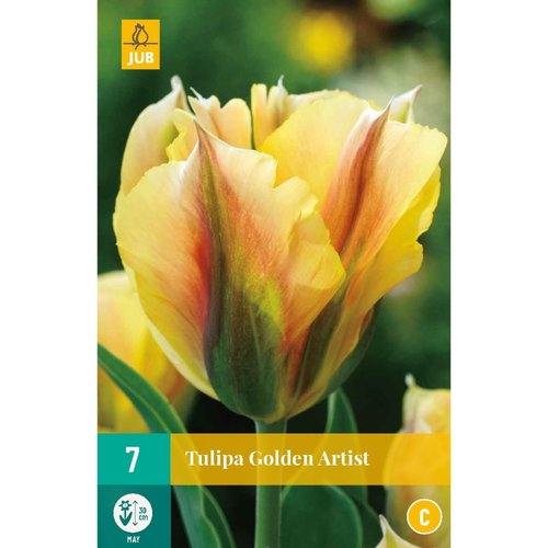 JUB Holland Tulipa Golden Artist