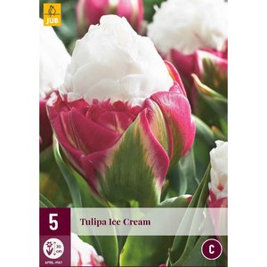 JUB Holland Tulipa Ice Cream