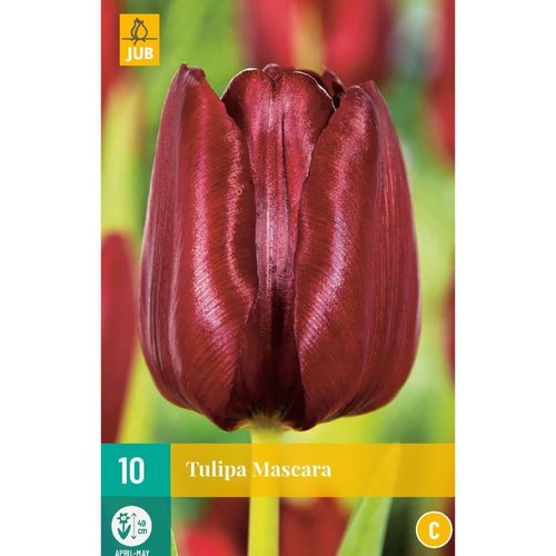 JUB Holland Tulipa Mascara