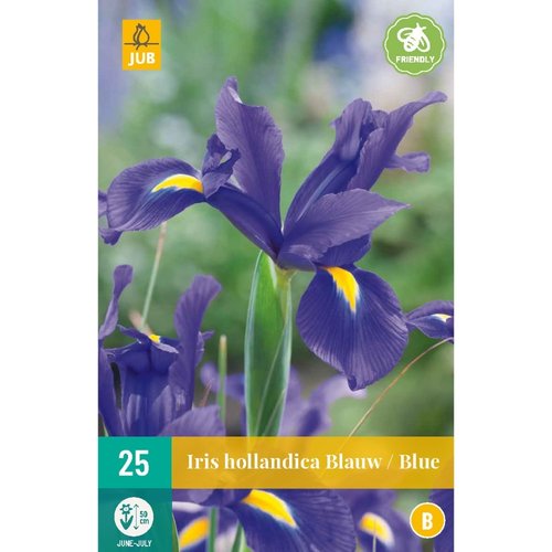 JUB Holland Iris hollandica Blauw