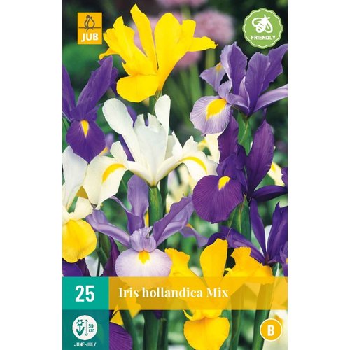 JUB Holland Iris hollandica Mix