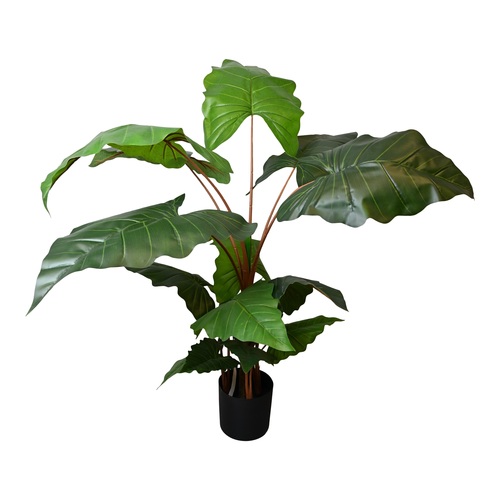 Kunstplant Alocasia - H 150 cm