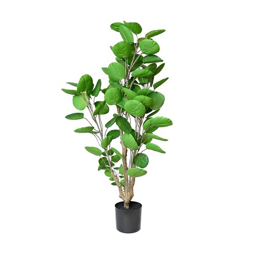 Kunstplant polyscias - H 110 cm