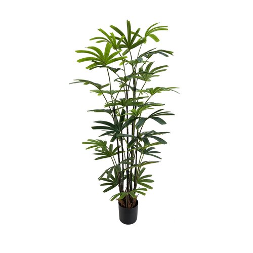 Kunstplant Rhapis Excelsa - H 195 cm