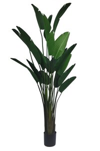 Kunstplant Strelitzia H 245 cm