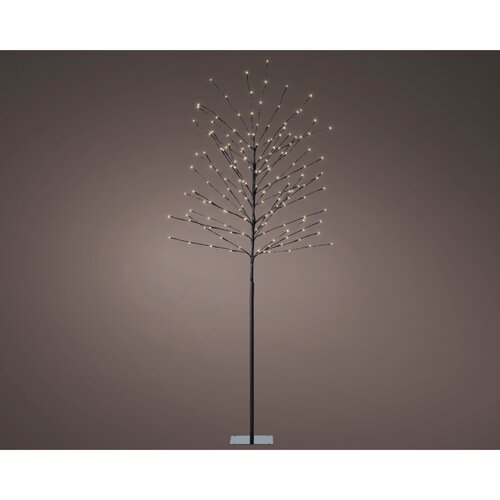 Lumineo LED boom  zwart/warm wit - D 70 x H 180 cm