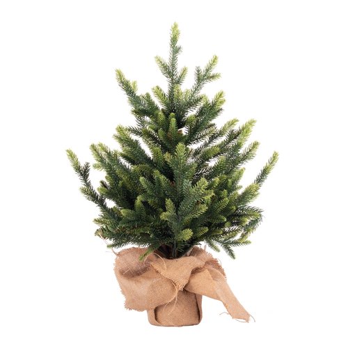 Evergreen Makalu Table tree Groen - H 60 x D 30 cm