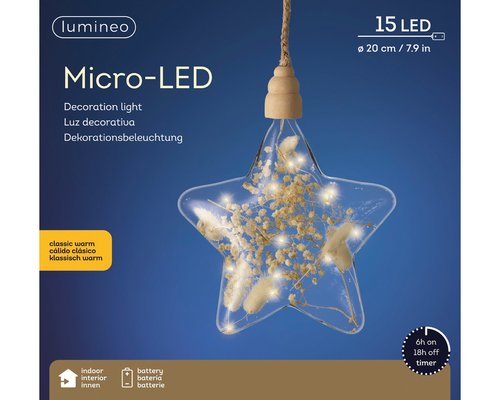 Micro LED Ster Transparant droogbloem BO Binnen - Ø 20 x H 80 cm - afbeelding 3