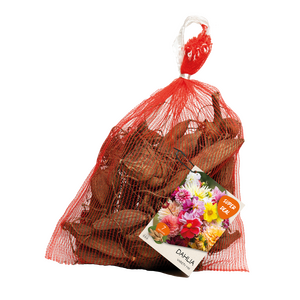 Net - Dahlia zaailing variëteit gemengd