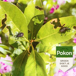 Pokon Bio Tegen Insecten en Kevers Compost 20L - afbeelding 5