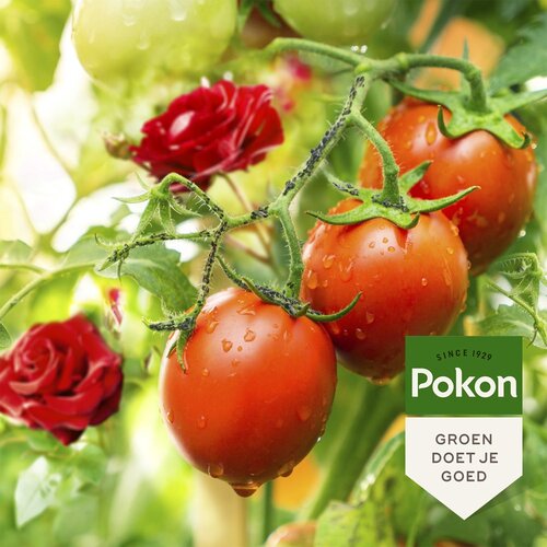 Pokon Bio Tegen Insecten Polysect GYO Concentraat 225ml - afbeelding 4