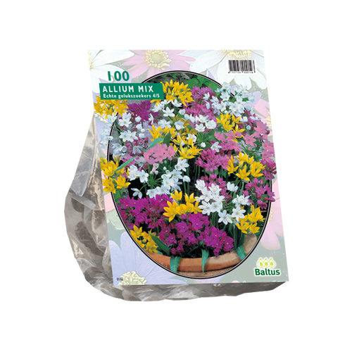 Baltus Allium Mix per 100