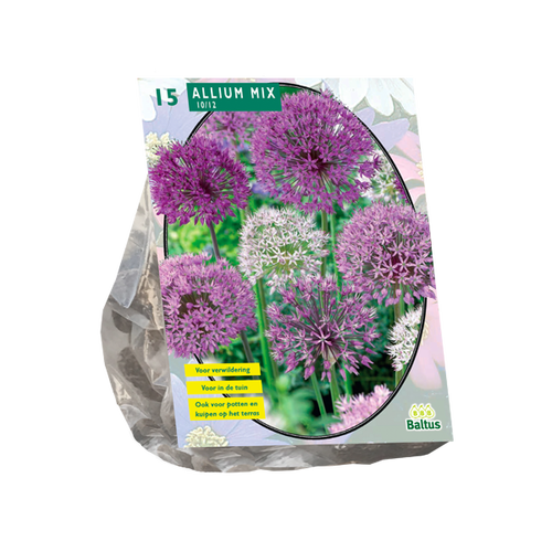 Baltus Allium Mix Paars-Wit per 15