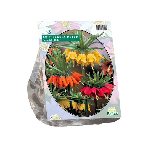 Baltus Fritillaria Imperialis Mixed per 3