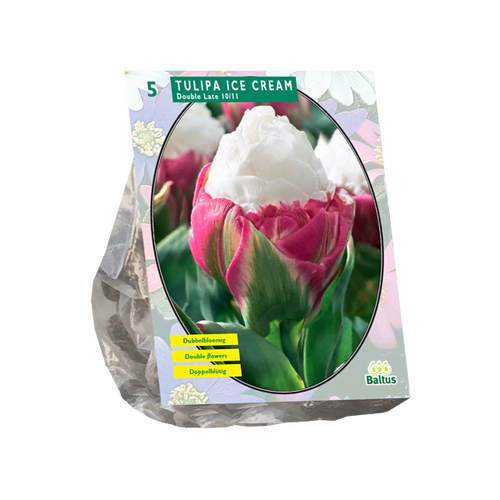 Baltus Tulipa Ice Cream per 5