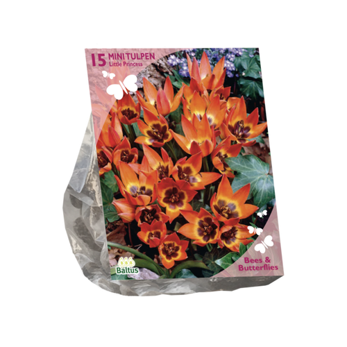 Baltus Bees & Butterflies - Tulipa Little Princess per 15